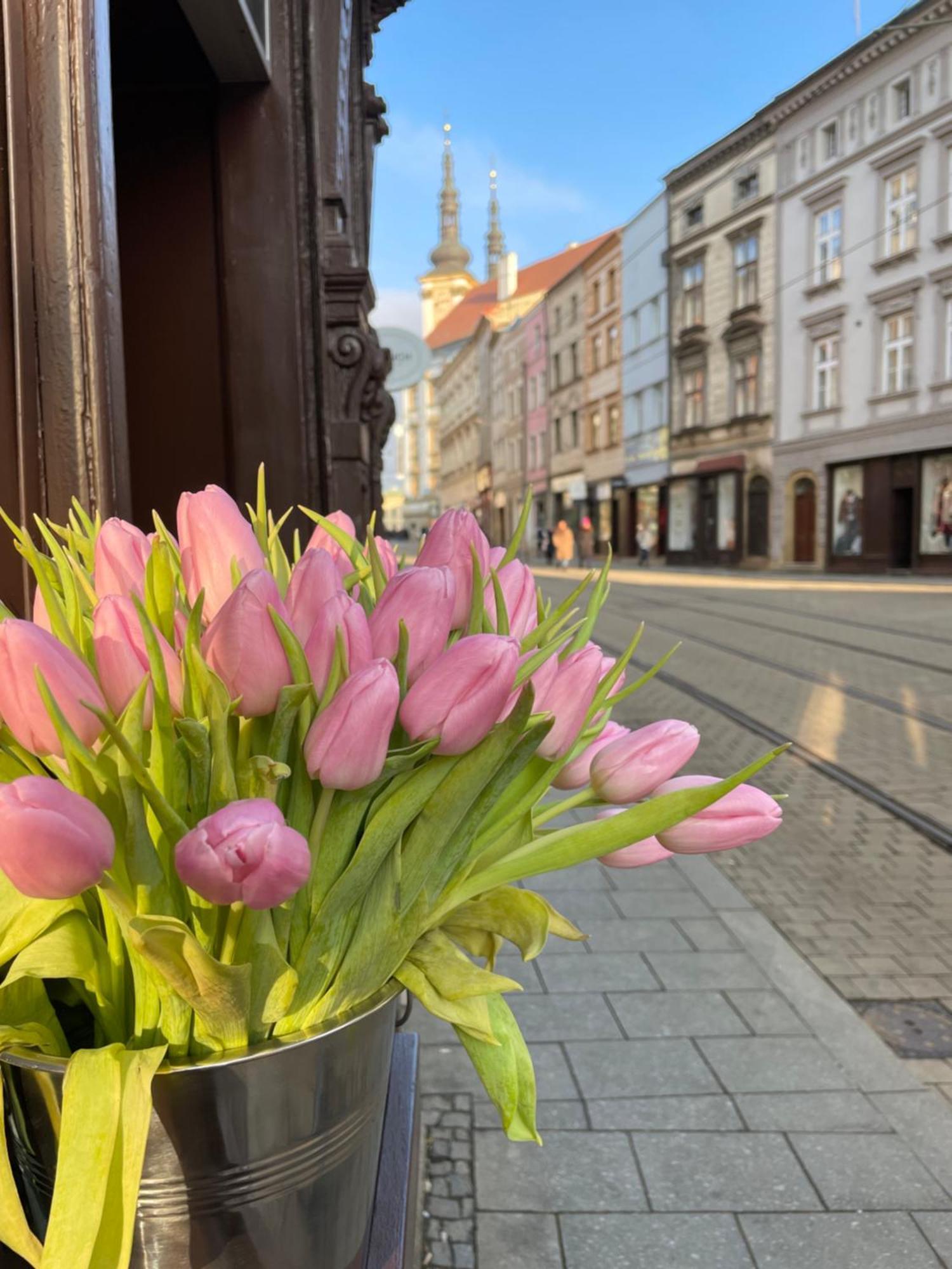 Kovarik Apartments I Olomouc Luaran gambar